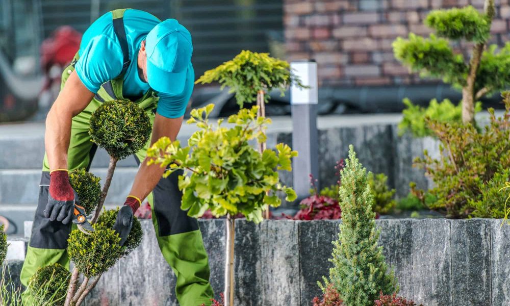 Garden Maintenance by Professional Gardener